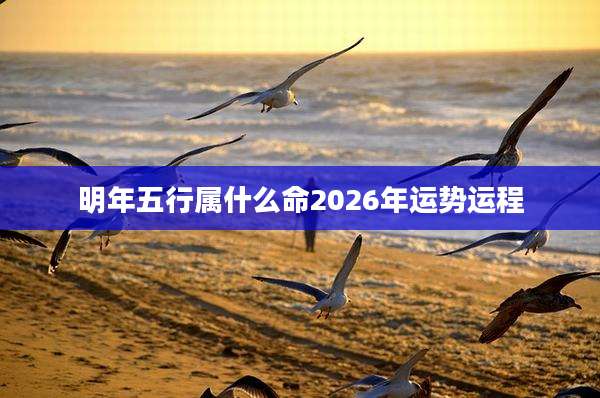 明年五行属什么命2026年运势运程