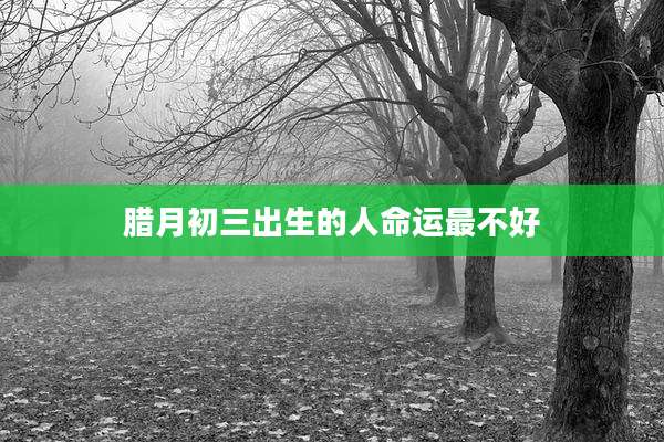 腊月初三出生的人命运最不好