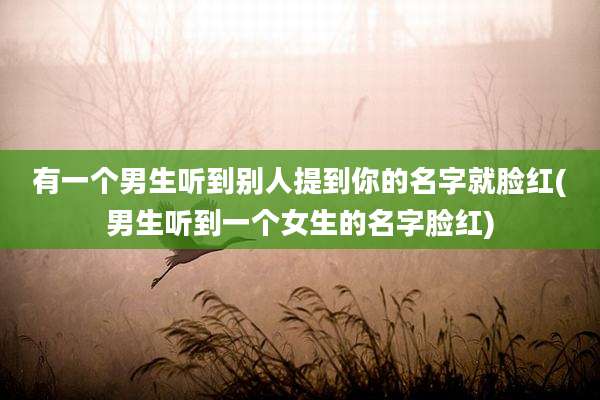 有一个男生听到别人提到你的名字就脸红(男生听到一个女生的名字脸红)