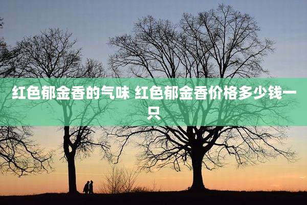红色郁金香的气味 红色郁金香价格多少钱一只