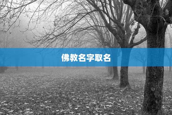 佛教名字取名