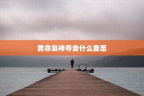 男命枭神夺食什么意思