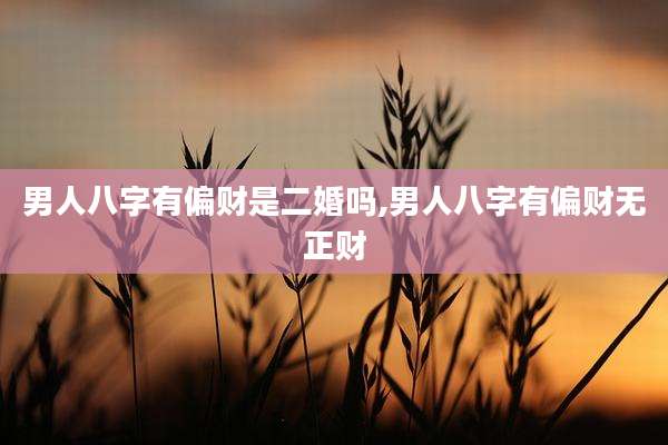 男人八字有偏财是二婚吗,男人八字有偏财无正财