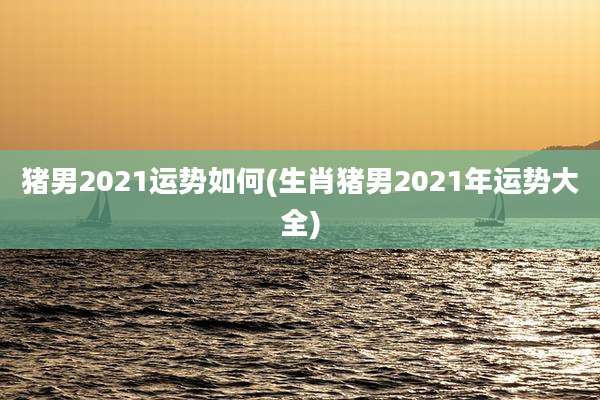 猪男2021运势如何(生肖猪男2021年运势大全)