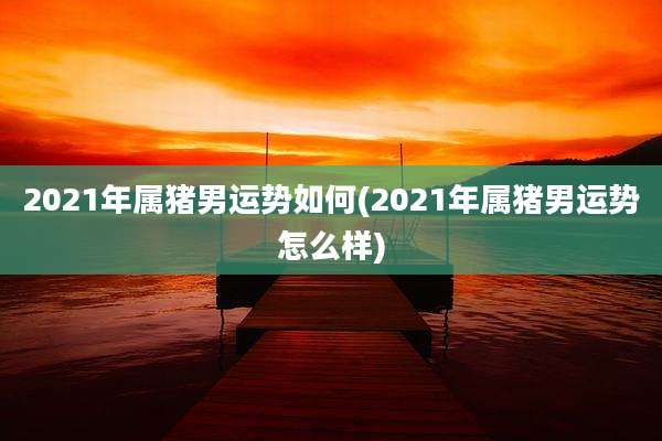 2021年属猪男运势如何(2021年属猪男运势怎么样)