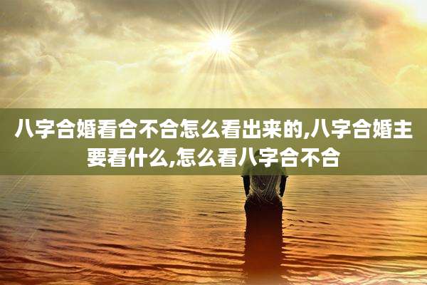 八字合婚看合不合怎么看出来的,八字合婚主要看什么,怎么看八字合不合