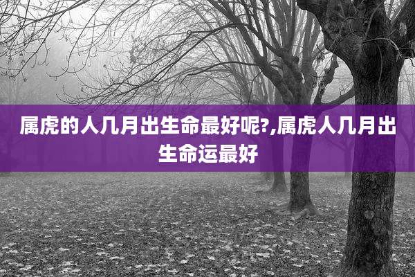 属虎的人几月出生命最好呢?,属虎人几月出生命运最好