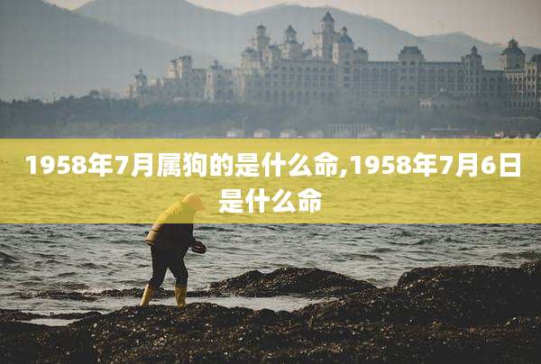 1958年7月属狗的是什么命,1958年7月6日是什么命
