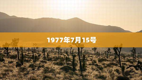 1977年7月15号