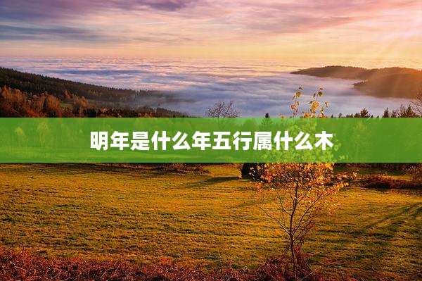 明年是什么年五行属什么木