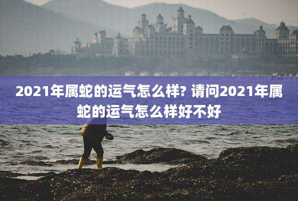 2021年属蛇的运气怎么样? 请问2021年属蛇的运气怎么样好不好