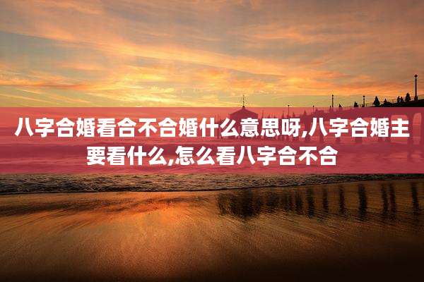 八字合婚看合不合婚什么意思呀,八字合婚主要看什么,怎么看八字合不合