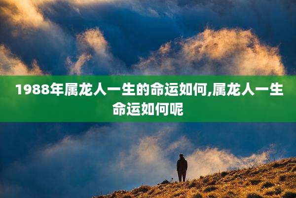 1988年属龙人一生的命运如何,属龙人一生命运如何呢