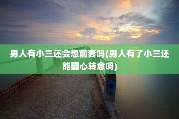 男人有小三还会想前妻吗(男人有了小三还能回心转意吗)