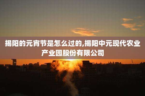 揭阳的元宵节是怎么过的,揭阳中元现代农业产业园股份有限公司