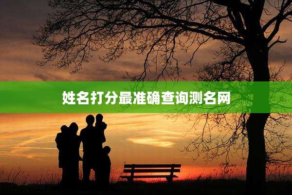 姓名打分最准确查询测名网