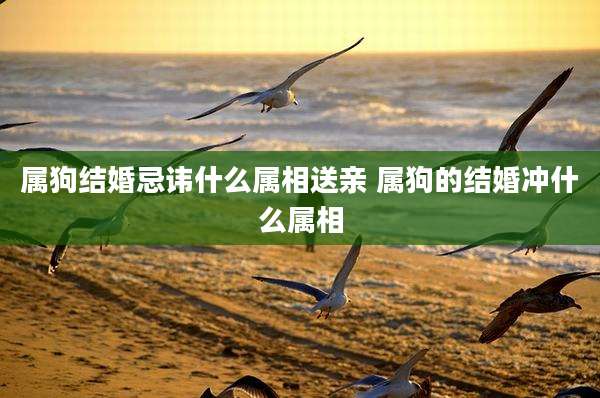 属狗结婚忌讳什么属相送亲 属狗的结婚冲什么属相