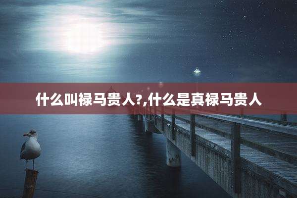 什么叫禄马贵人?,什么是真禄马贵人