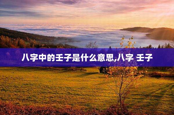 八字中的壬子是什么意思,八字 壬子