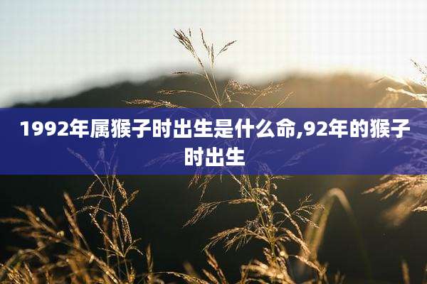 1992年属猴子时出生是什么命,92年的猴子时出生