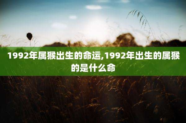 1992年属猴出生的命运,1992年出生的属猴的是什么命