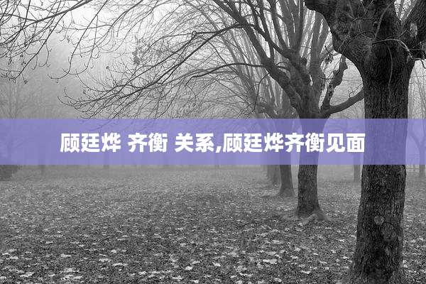 顾廷烨 齐衡 关系,顾廷烨齐衡见面