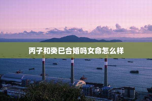 丙子和癸巳合婚吗女命怎么样