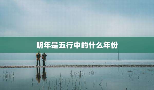 明年是五行中的什么年份