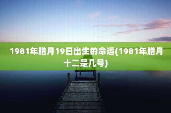 1981年腊月19日出生的命运(1981年腊月十二是几号)