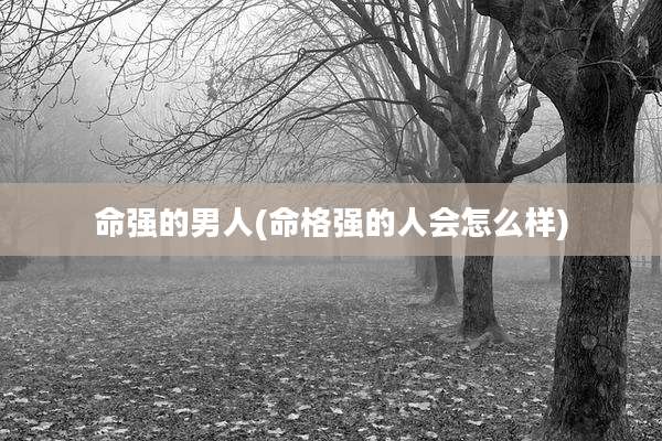 命强的男人(命格强的人会怎么样)
