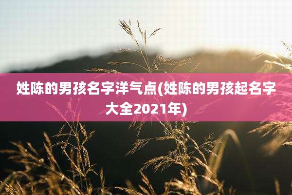 姓陈的男孩名字洋气点(姓陈的男孩起名字大全2021年)