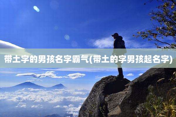 带土字的男孩名字霸气(带土的字男孩起名字)