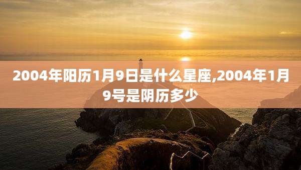 2004年阳历1月9日是什么星座,2004年1月9号是阴历多少