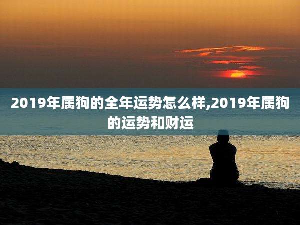 2019年属狗的全年运势怎么样,2019年属狗的运势和财运