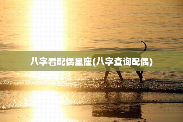 八字看配偶星座(八字查询配偶)
