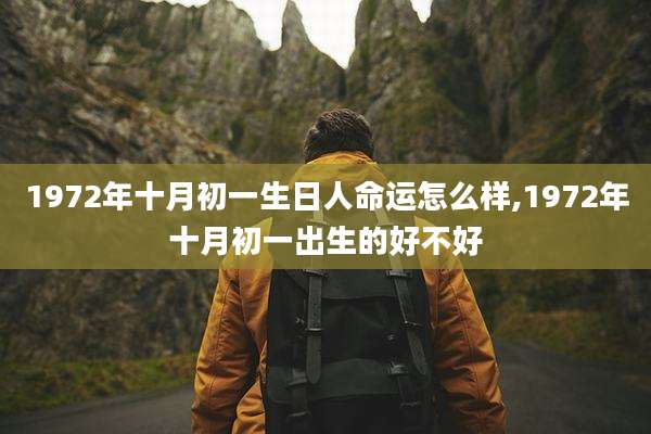 1972年十月初一生日人命运怎么样,1972年十月初一出生的好不好
