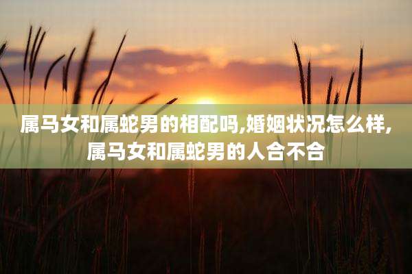 属马女和属蛇男的相配吗,婚姻状况怎么样,属马女和属蛇男的人合不合
