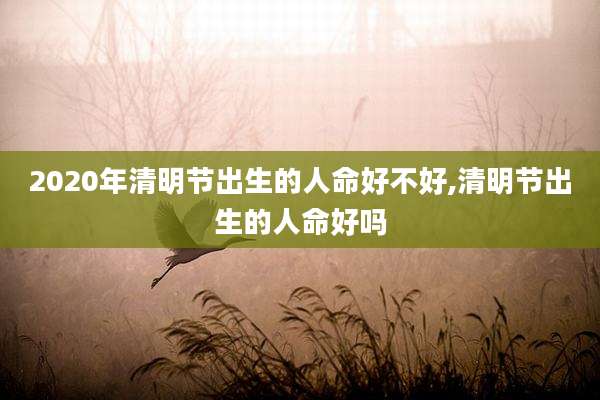 2020年清明节出生的人命好不好,清明节出生的人命好吗