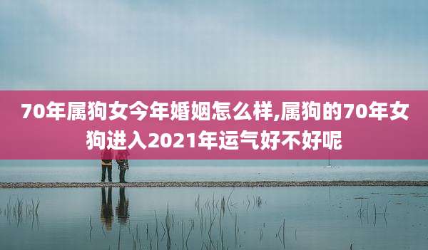 70年属狗女今年婚姻怎么样,属狗的70年女狗进入2021年运气好不好呢
