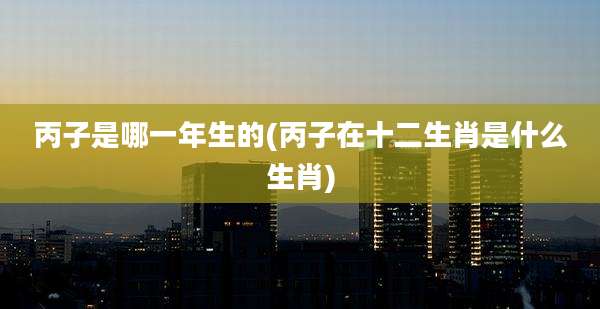丙子是哪一年生的(丙子在十二生肖是什么生肖)