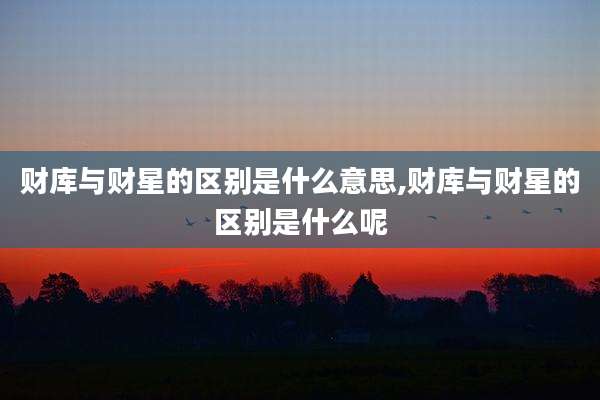 财库与财星的区别是什么意思,财库与财星的区别是什么呢