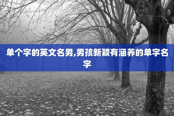 单个字的英文名男,男孩新颖有涵养的单字名字