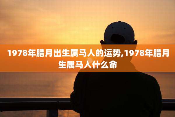 1978年腊月出生属马人的运势,1978年腊月生属马人什么命