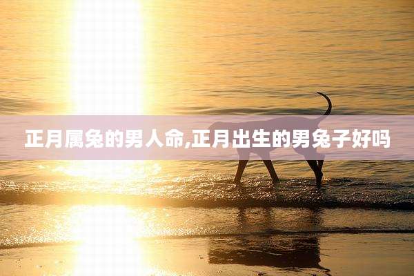 正月属兔的男人命,正月出生的男兔子好吗