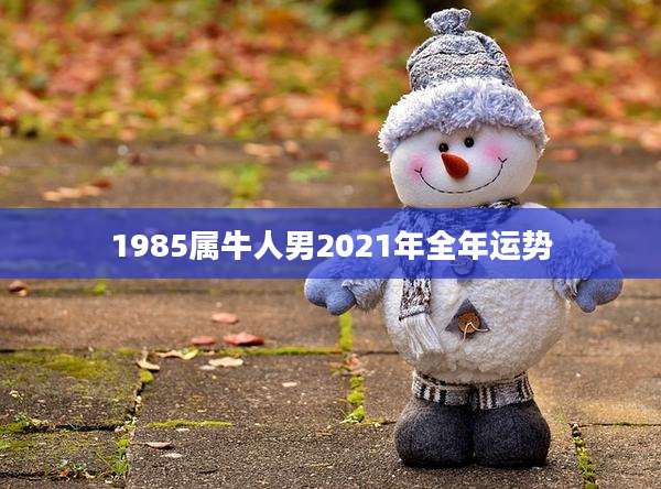 1985属牛人男2021年全年运势