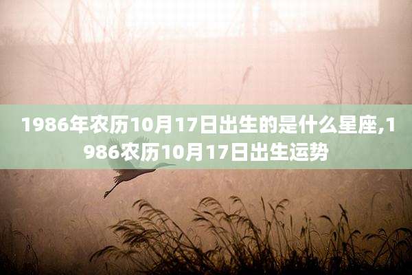 1986年农历10月17日出生的是什么星座,1986农历10月17日出生运势