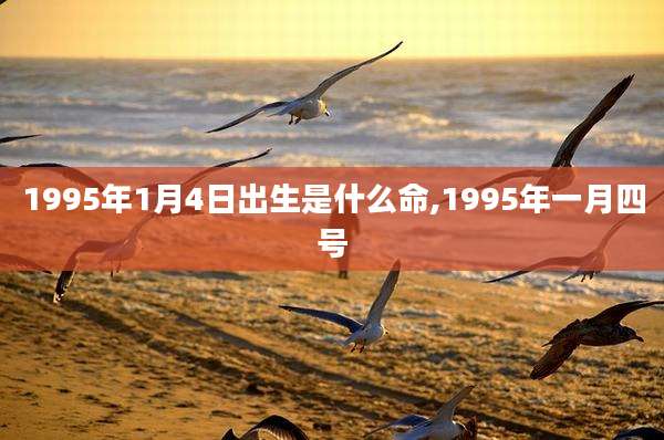 1995年1月4日出生是什么命,1995年一月四号