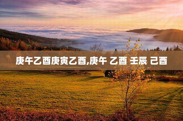 庚午乙酉庚寅乙酉,庚午 乙酉 壬辰 己酉