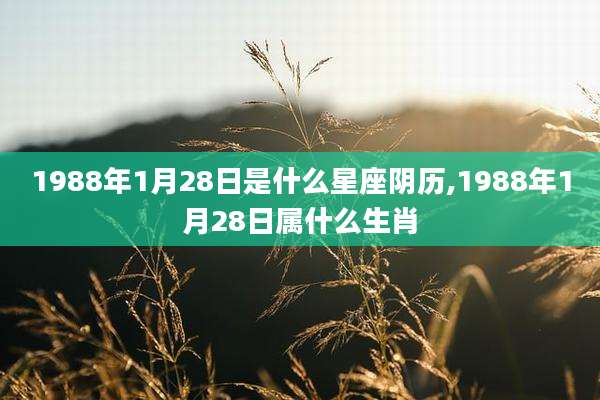 1988年1月28日是什么星座阴历,1988年1月28日属什么生肖