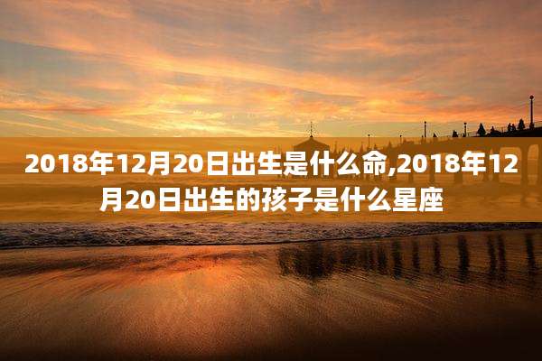 2018年12月20日出生是什么命,2018年12月20日出生的孩子是什么星座